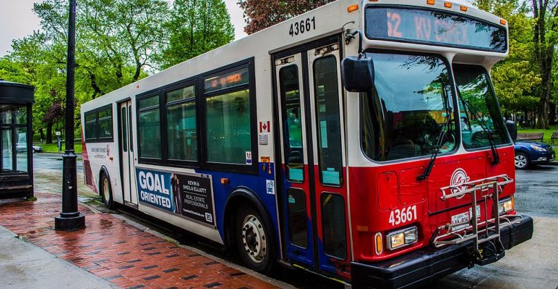 Bus