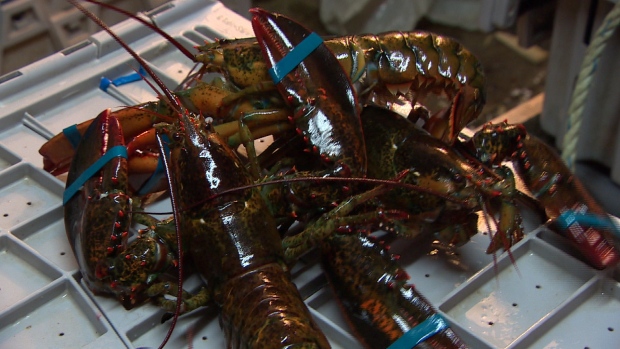 lobster