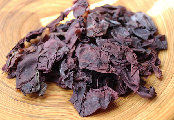 dulse
