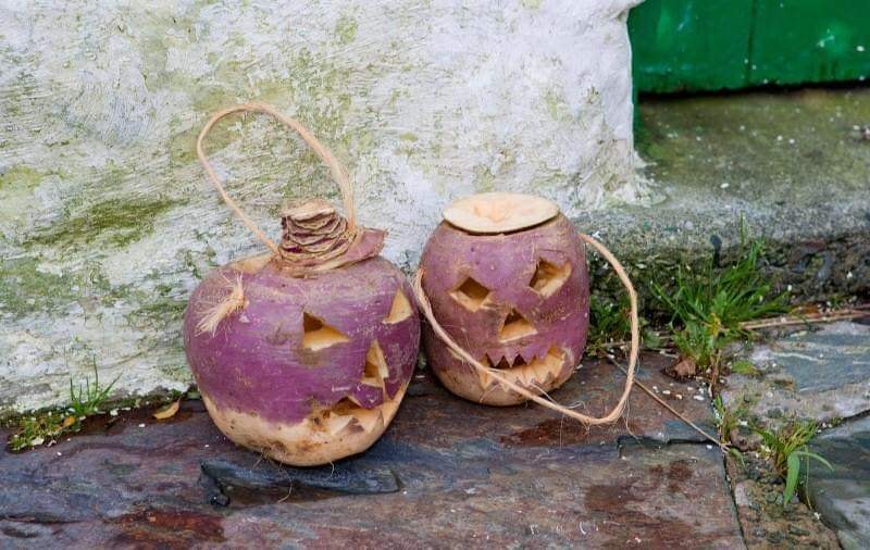 Halloween Turnips